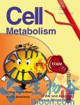 Cell Metabolism：<font color="red">高</font><font color="red">胰岛素</font>水平可导致肥胖