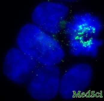 NCB：神奇蛋白防癌抗衰