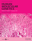 Hum Mol Genet：科学家证实<font color="red">烟草</font>可增加患癌基因活性