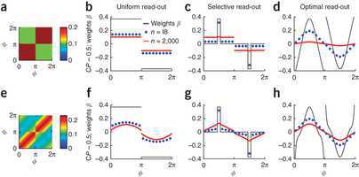 Nat Neuron：科学家揭示神经元如何影响<font color="red">决策</font><font color="red">过程</font>