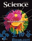 Science: 揭示免疫细胞<font color="red">定向</font>迁移的机制