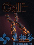 Cell：活体实时追踪癌症及衰老