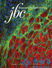 JBC：研究揭示Pax2在结肠癌中作用机制