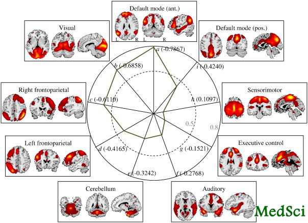 NeuroImage：休息时大脑活动可预测人格<font color="red">特质</font>