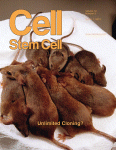Cell Stem Cell：老鼠植入人脑细胞后变聪明