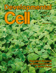 Cell:肝脏发育研究获进展