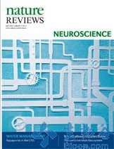 Nat Rev Neurosci评论：适合于记忆的紧缩措施
