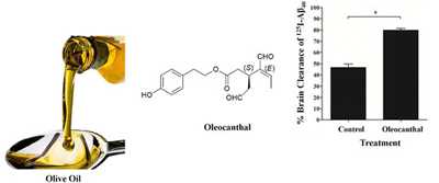 ACS Chem Neurosci：揭示橄榄油预防阿尔茨海默病机制