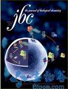 JBC：<font color="red">miR</font>-155对间充质干细胞的免疫调节功能发挥重要调节作用