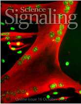 Sci Signal：抗癌药物或可用于治疗<font color="red">肌肉</font>变性疾病