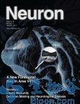 Neuron：揭示V4脑区对视觉<font color="red">运动</font>信息的处理