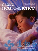Nature Neuroscience :蛋白FIP200在<font color="red">神经干细胞</font>维持和分化中起关键作用