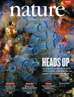 Nature：研究人员利用小分子RNA诱导心脏组织再生