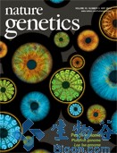 Nat Genet：汉族人群肌萎缩侧索硬化疾病易感基因SUSD2及CAMK1<font color="red">G</font>被发现