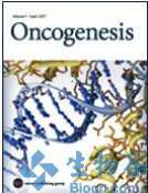 Oncogenesis：揭示维生素A降低前列腺癌干细胞侵袭性机制