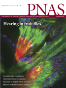 PNAS：评估手机辐射对脑组织的效应