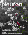 Neuron：睡眠时播放脑电波同步声音可增强记忆力