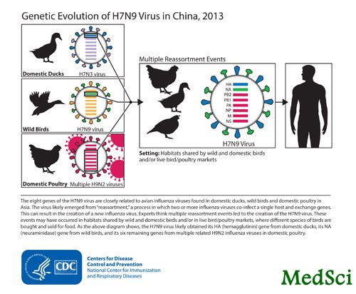 JAMA：美国CDC认为治疗H7N9流感应尽早使用<font color="red">抗病毒药物</font>