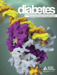 <font color="red">Diabetes</font> ：研究在骨髓中再造胰腺功能
