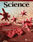 Science：药物组合帮<font color="red">巨噬细胞</font>“吃掉”肿瘤
