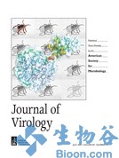 J. Virol.：microRNA-146a参与乙肝病毒感染中T细胞免疫应答与耐受