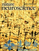 NAT NEUROSCI:基因结构变化影响草原田鼠择偶偏好