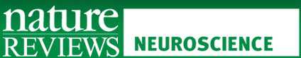 NRN：神经递质转换及其行为结果可能治疗人类神经疾病