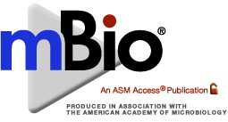 mBio：缺陷型金黄色葡萄球菌表现出特异性的抗生素选择性