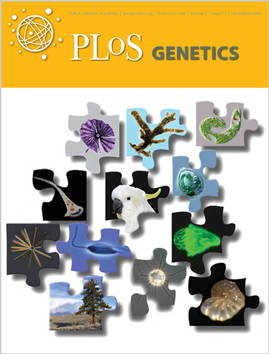 PLoS Genet：丁梅等神经特异性连接机制研究获进展