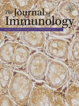 J. Immunol.：诱导HIV的免疫应答研究中取得新进展