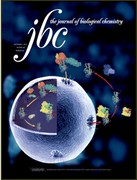 JBC：李斌等发现人源CD4+ T细胞中决定炎症因子IFNg<font color="red">表达</font>的新<font color="red">调节</font>通路