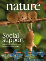 Nature：丙肝病毒感染的人化小鼠模型