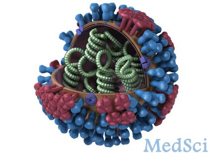 Science：高福解析人感染H7N9病毒<font color="red">血凝</font>素结构