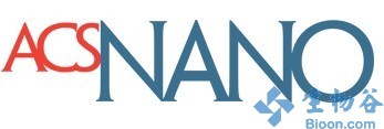 ACS NANO：纳米胶囊成为抑制恶性胶质瘤新策略