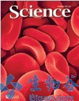 Science：心肌梗塞过程中帮助<font color="red">保护</font>心肌的疗法