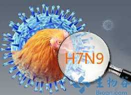 诺华H7N9流感疫苗I期临床取得<font color="red">积极</font><font color="red">数据</font>