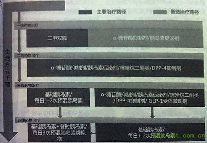《2013年版中国2型糖尿病防治指南（<font color="red">征求意见</font>稿）》出炉！