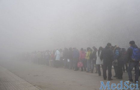 中国社科院绿皮书：雾霾影响生殖能力