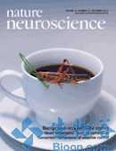 Nat Neurosci：恐惧症或源于遗传自祖先的恐惧记忆