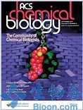 ACS Chem Biol：新抑制剂联合用药可显著杀伤结直肠癌细胞