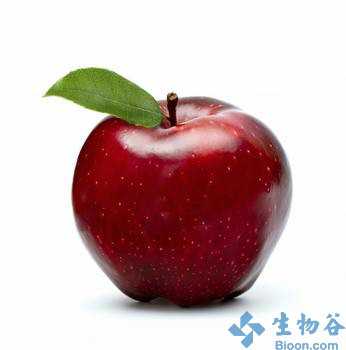BMJ：“一天一苹果”有利心血管健康