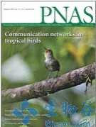 PNAS：研究者揭示人类和啮齿动物的工作记忆
