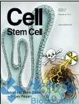 Cell Stem Cell：徐国良等发现打破<font color="red">细胞</font>重编程屏障的关键因素