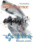 Nat Neurosci：神经胶质细胞变化影响小鼠<font color="red">社会</font>性<font color="red">行为</font>