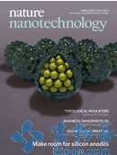 Nat Nanotechnol：<font color="red">DNA</font>纳米结构可直接送药进肿瘤