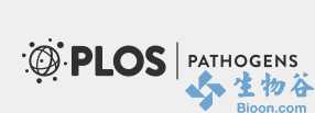 PLOS Pathog：友好真菌保护口腔免受念珠菌危害