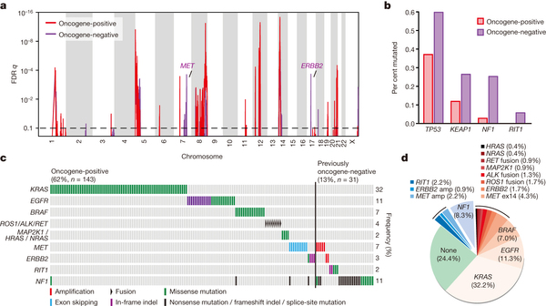 Identification of novel candidate driver genes.