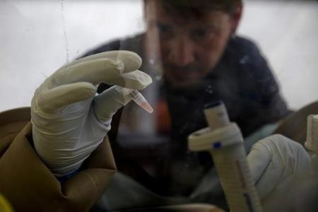 世卫预测未来数月埃博拉病例数将超2万