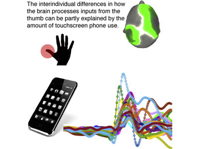 Current Biology：<font color="red">智能手</font>機(jī)正在“重塑”你的大腦