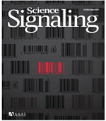 Science Signaling：美研究绘制癌症耐药<font color="red">路径</font>图